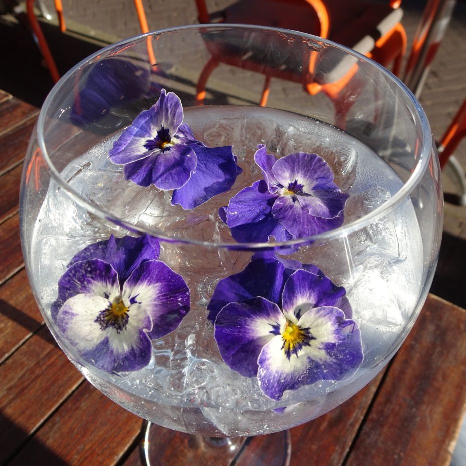 Gin&Violets